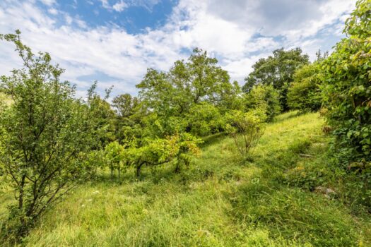 6dBKEHsiAi4Zz2EqKKDKPE