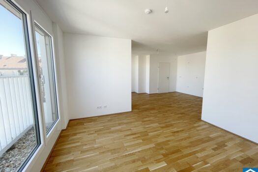 6jgdCiWzuw9fQqcWTdMG44