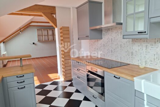 6jroGJ4vJbsjitvLQiCv8h