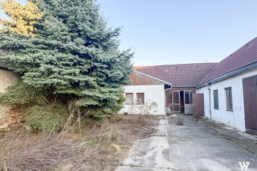 6kHolsim8mZVhjs1KAQ60d