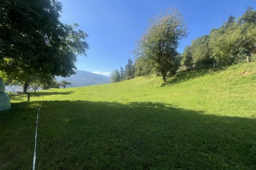 6lPo6uOx0TnhsdOxHes32U