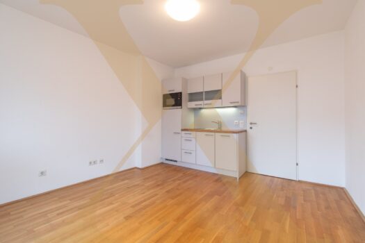 Beispielfoto Wohn-/Ess/-Schlafbereich I