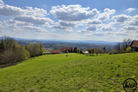 6r7XnLAeHQOGou7Wha1d0s