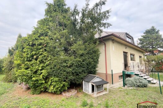 Ein großzügiges Einfamilienhaus in Aspern! 6sw52rI0cbxu5bujEqUAC 1