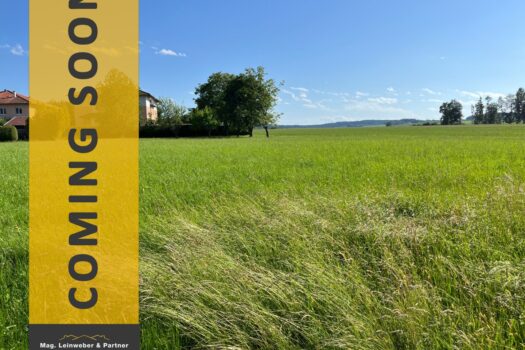 6tFRK4OPascapeb6wR3hhs