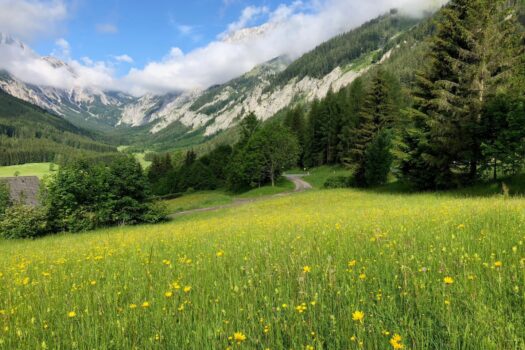 6xe3gbrOjuZdueRMxgtDG6