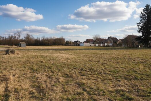 Neuer Firmensitz? ***Perfekte Möglichgkeit auf 3.541 m² in Oftering*** _