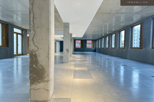 | INDUSTRIE STYLE | FABRIK 1230 | Büro-/Ordination-/Gewerbe-/Lager-/Veranstaltungsflächen 762VBDHCyuNWSqdbNPkmnn