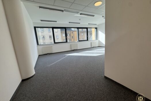 54,17 m² - Ein Raum, unzählige Möglichkeiten! - Planer-/ Agentur-/ Architektenbüro - Tolle Bürofläche im 11. Bezirk zu vermieten 78eZ6ClDuVuVG7L2qjws4j