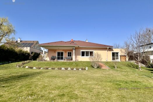 Das Haus gartenseitig