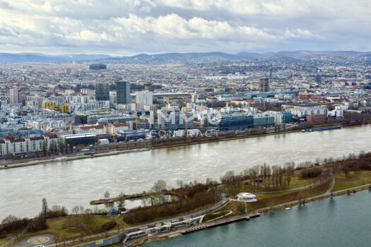 7Fy8qpSszYB20soXRx2wii