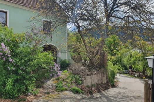 7cxrdB8FTZ3CZuRcEFzk9A