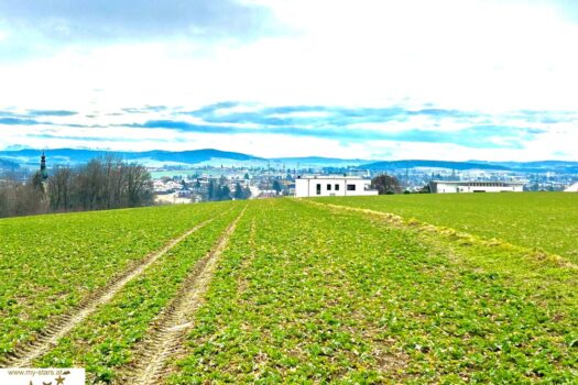 7fzd02s4hnDQMXZfCfeuLe