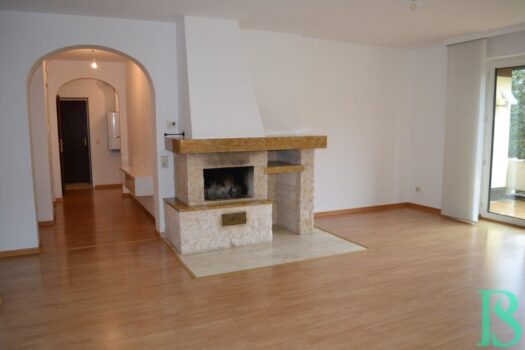 Hietzinger Cottage - Wohnung mit Terrasse und Kamin - Grünruhelage Wohnraum/Kamin