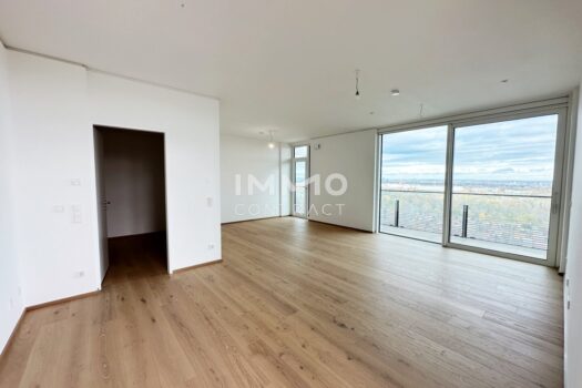 ERSTBEZUG: Der ultimative Ausblick! Freuen Sie sich auf einen modernen Lifestyle mit vielen Annehmlichkeiten! 3