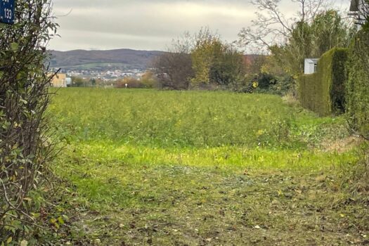 7mJH8HSac7k9490DvmYBv9