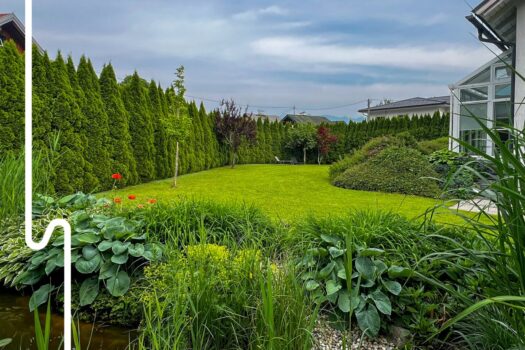 7nbfM8v1VqTd0Xa1KoUhZW 1