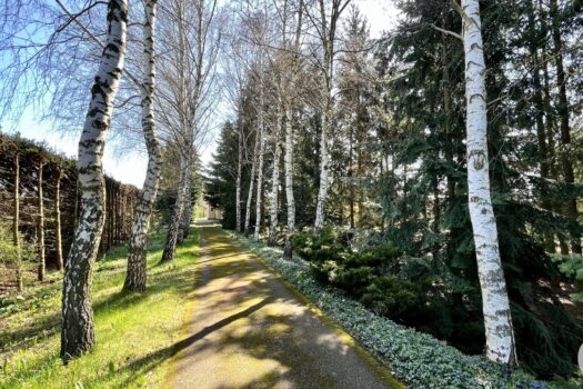 7pveyp0HqbU1HaOxSiHqsd