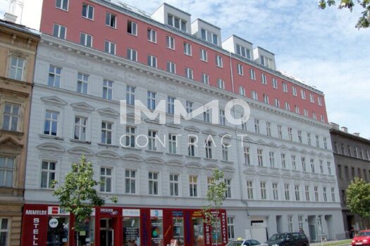 Hauptansicht neu power