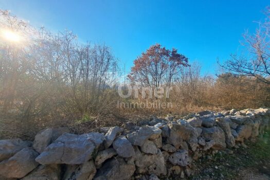 7szkWYm32PsZBkxNGMTNVv