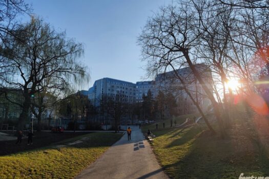 7u3xvEL9TOMA7M1eoR7rZ5 1