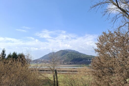 7vDiYmuhuBPTV5npombErG