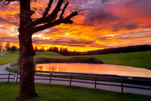 7yGPq2EQWR8tiOMxCLvz1h