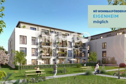 A2_03_Ober-Grafendorf_12k_(241024)