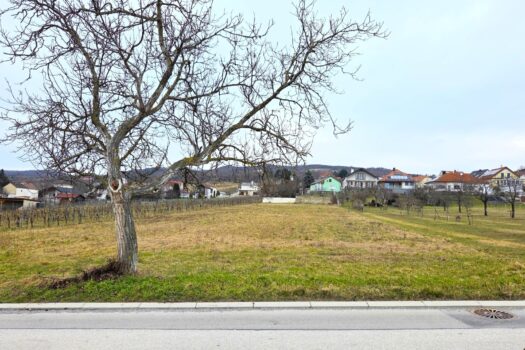 AKbf15YS5xH3RCTyWd0M8