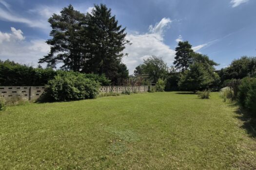 Bd9wv7VAMoIEn1WVrqqgx