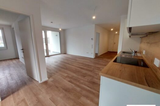 Jqhkpf3g6zY0bV3LVJAph