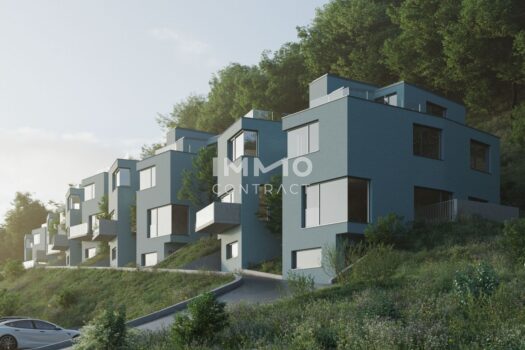 Front-Visualisierung