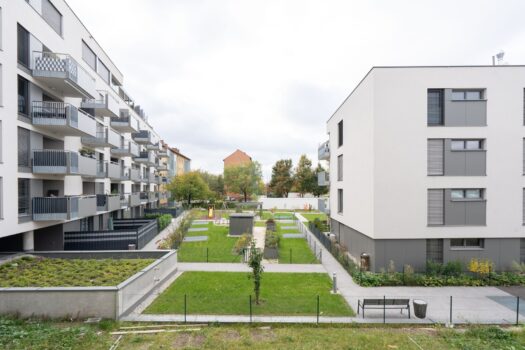 OiUu6wOhkpHZ35CXAOIuk