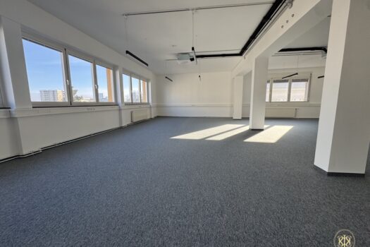 ThkpA6RMsuN9PqnWjBjfF