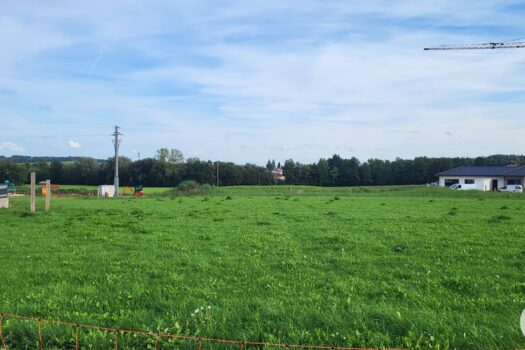 WZWhFGRj5s4Sy3FLcCh4S