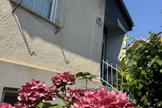 XI16cPV0tAgne5ZVsl0B