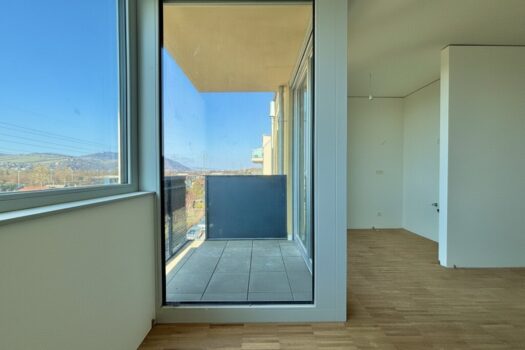 ZEVhxQhOpQx1BuujtrFK6