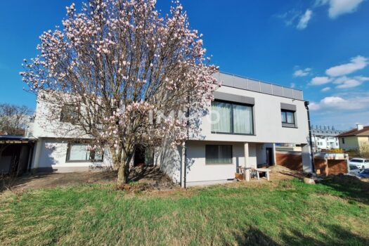 axeX8ZDXhgHwRwYneHlgB