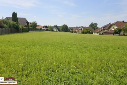 brb0tnP7byTA3fbFDcev8