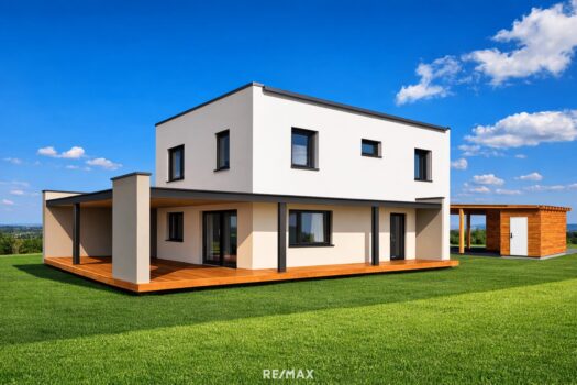 Variante mit Pultdach