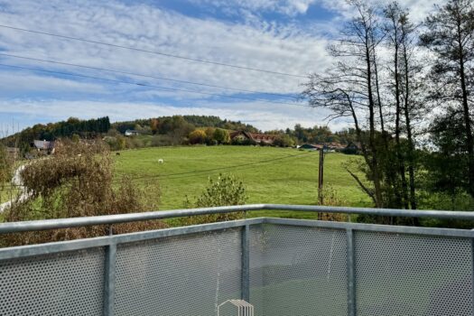 GRÜN & RUHIG GELEGEN: Sonnige 4-Zimmer-Wohnung mit 4 Balkonen und Parkplatz il4szBWL3oJ2U5rQNY9iS