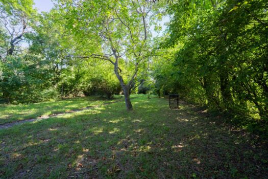 nWbHc50N3AGMWpMHN5aB5 1