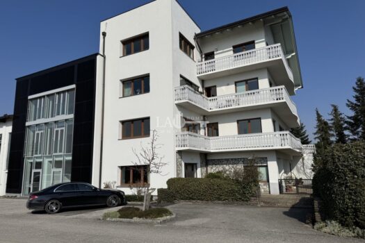 pJSz5Hb1wOqwPJmmrsXdg