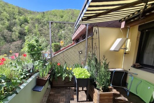 pUjUOwUGNF6hLSTPcR92B