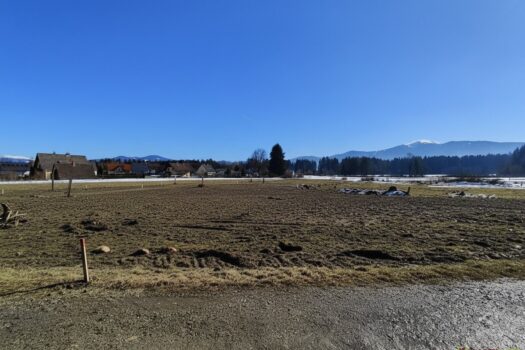 quOgr1yKmfdD3v8pk0ppG 1