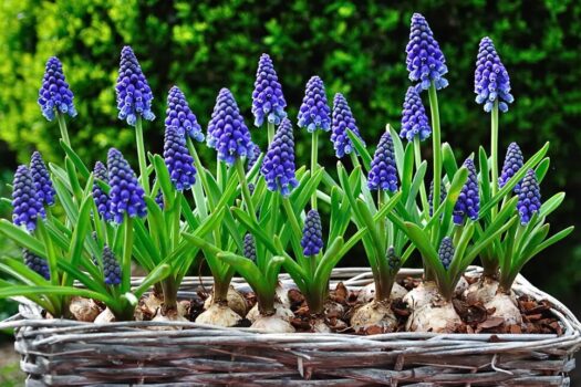 r7h6lkeReoonYhpxLwQWC