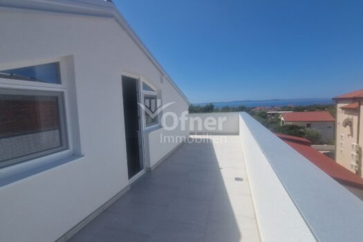 y4lBPQ6O4zT6yCnqMrzuY