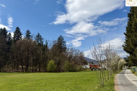 10ImpeRpE0GU5wD2P1AuqJ