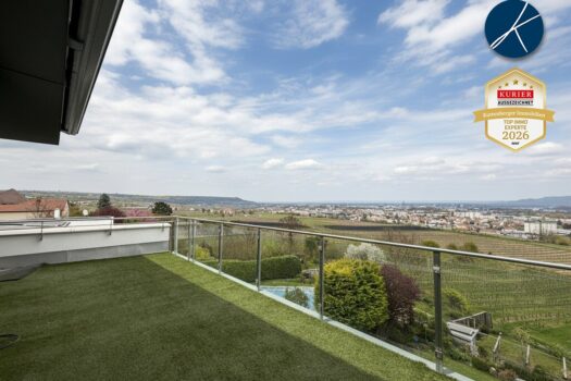 Blick in die Weingärten