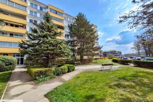 EMIL – Wenn der Frühling Zuhause beginnt 13dyZluCtHVa4bQisWnmlR